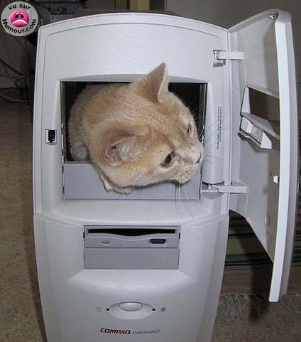 Chat pc